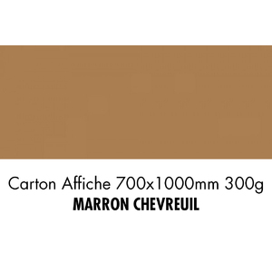 folia Carton de bricolage, (L)1.000 x (H)700 mm, fauve
