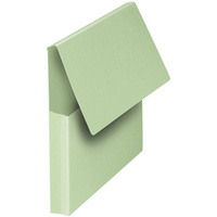 Oxford Pochette document à soufflet, A4, vert pastel