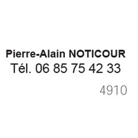 PRINTY 4910 + 2 LIGNES        26X9MM ENCREUR NOIR