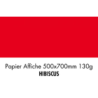 folia Papier de couleur, (L)500 x (H)700 mm, hibiscus