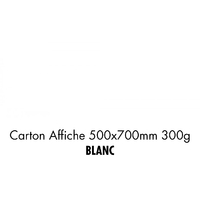 folia Carton de bricolage, (L)500 x (H)700 mm, blanc