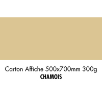 folia Carton de bricolage, (L)500 x (H)700 mm, chamois