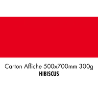 folia Carton de bricolage, (L)500 x (H)700 mm, hibiscus