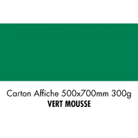 folia Carton de bricolage, (L)500 x (H)700 mm, vert mousse