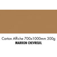 folia Carton de bricolage, (L)1.000 x (H)700 mm, fauve