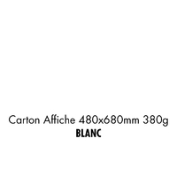 folia Carton pour affiches, (L)480 x (H)680 mm, blanc