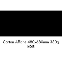 folia Carton pour affiches, (L)480 x (H)680 mm, noir