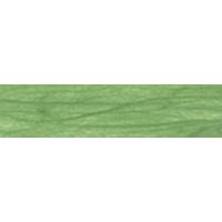 folia Soie de paille, (L)470 x (H)640 mm, vert clair