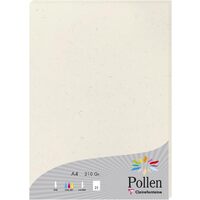 Pollen by Clairefontaine Papier Natura, A4, 210 g/m2