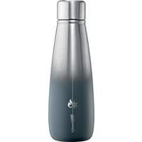 GOURDE ISOTHERME CONCEPT 0,5L GRIS