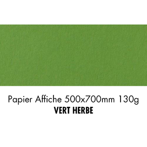 folia Papier de couleur, (L)500 x (H)700 mm, vert herbe