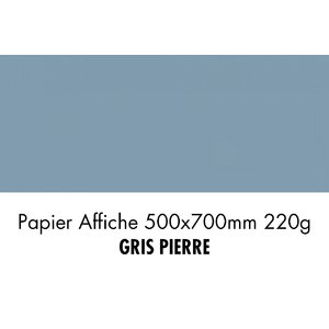 folia Carton de couleur, (L)500 x (H)700 mm, gris pierre