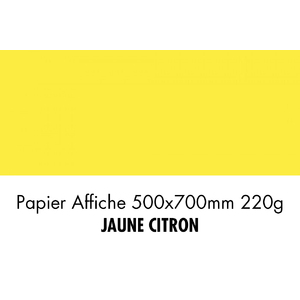 PAPIER 500X700 220G JAUNE CITRON  P/10F