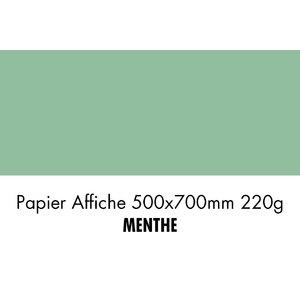 PAPIER 500X700 220G MENTHE    P/10F