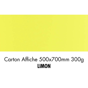 folia Carton de bricolage, (L)500 x (H)700 mm, limon
