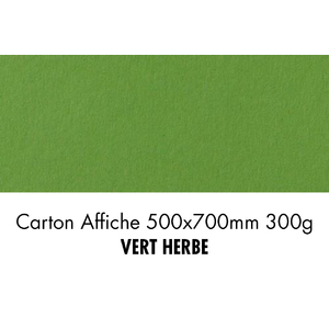 folia Carton de bricolage, (L)500 x (H)700 mm, vert herbe