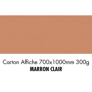 folia Carton de bricolage, (L)1.000 x (H)700 mm, brun clair