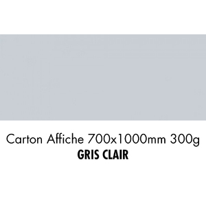 folia Carton de bricolage, (L)1.000 x (H)700 mm, gris clair