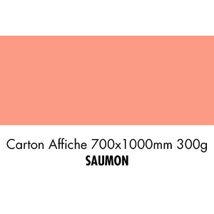 folia Carton de bricolage, (L)1.000 x (H)700 mm, saumon