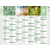 QUO VADIS Calendrier mural 'Equology', 550 x 405 mm, 2026